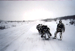 Dovre1.gif (44537 Byte)