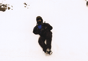 Rams-3.gif (11101 Byte)