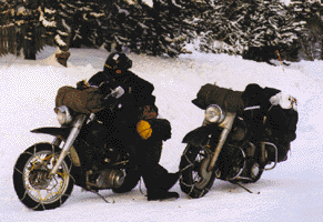 Rams-5.gif (27786 Byte)