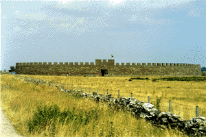 Sweden11.gif (28900 Byte)