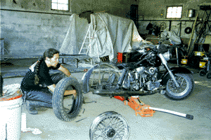 Sweden16.gif (32732 Byte)