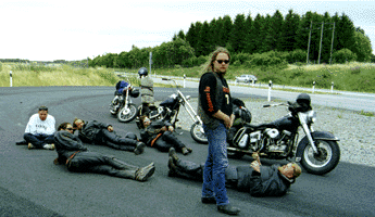 Sweden21.gif (42087 Byte)