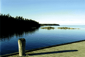 Sweden22.gif (17643 Byte)