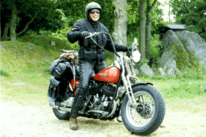 Sweden9.gif (43820 Byte)