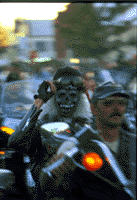 USA-5.gif (12892 Byte)