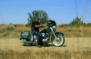 USA-8.gif (36272 Byte)