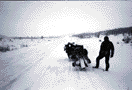 Rams1.gif (13141 Byte)